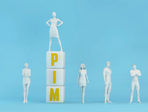 PIM systems for managing product information effectively