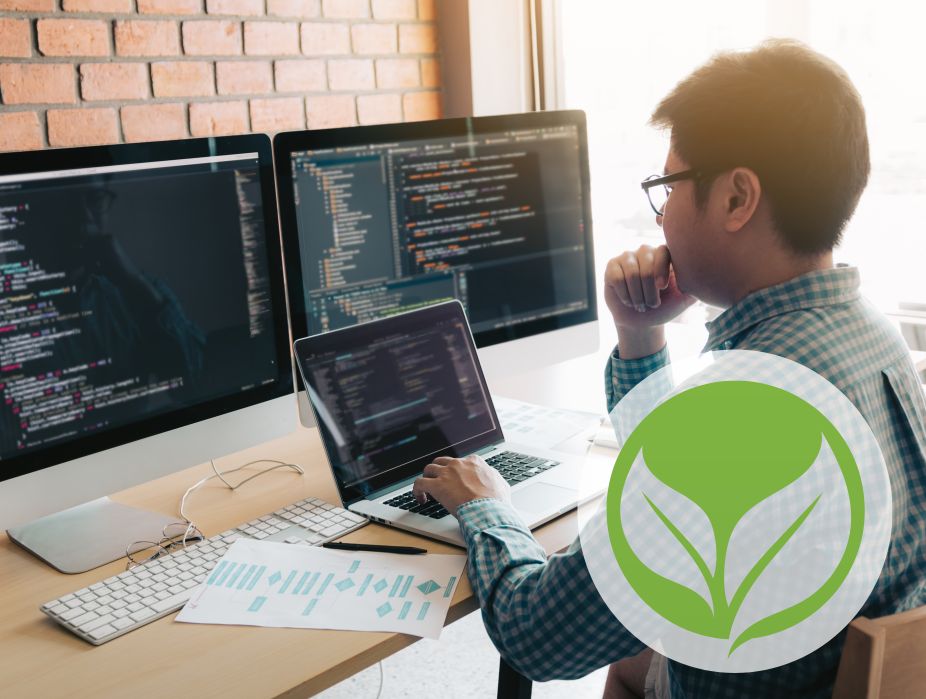 Green coding or programming with a concern for our future